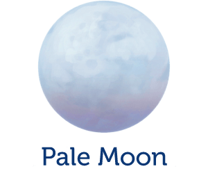 pale moon browser logo